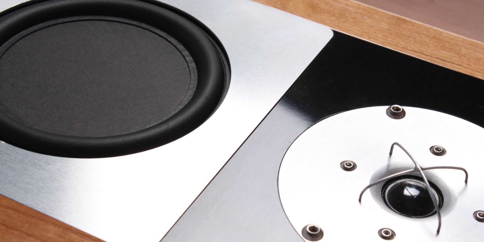 Rega RS10 loudspeaker